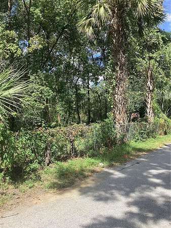 0.3 Acres of Residential Land for Sale in Ocala, Florida