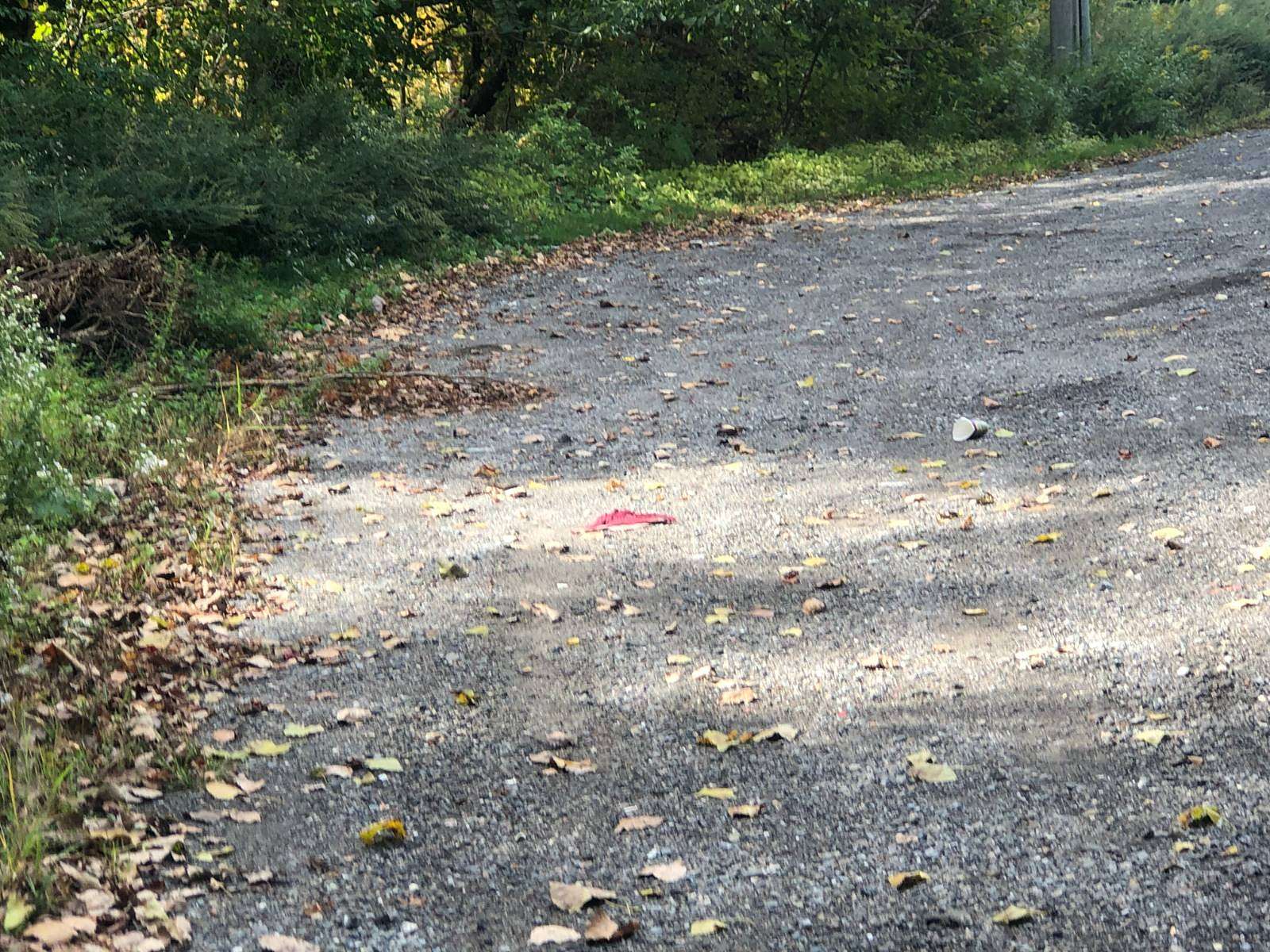 0.23 Acres of Mixed-Use Land for Sale in Kent Town, New York