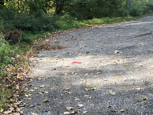 0.23 Acres of Mixed-Use Land for Sale in Kent Town, New York