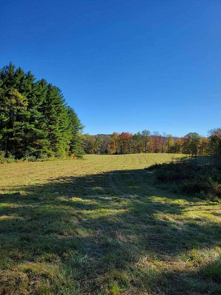78.5 Acres of Recreational Land for Sale in Charmco, West Virginia