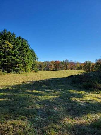 78.5 Acres of Recreational Land for Sale in Charmco, West Virginia