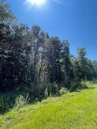 0.15 Acres of Residential Land for Sale in Theodore, Alabama