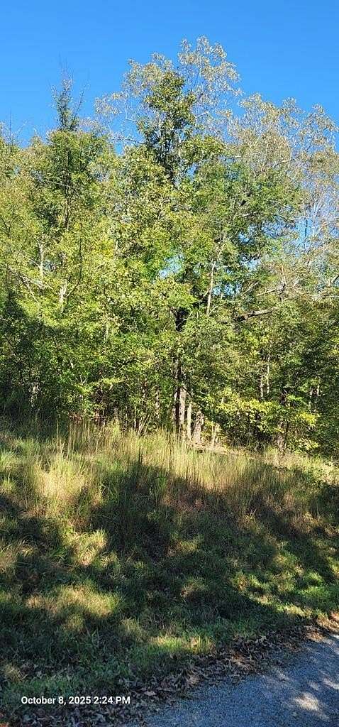 17.4 Acres of Land for Sale in Buchanan, Tennessee