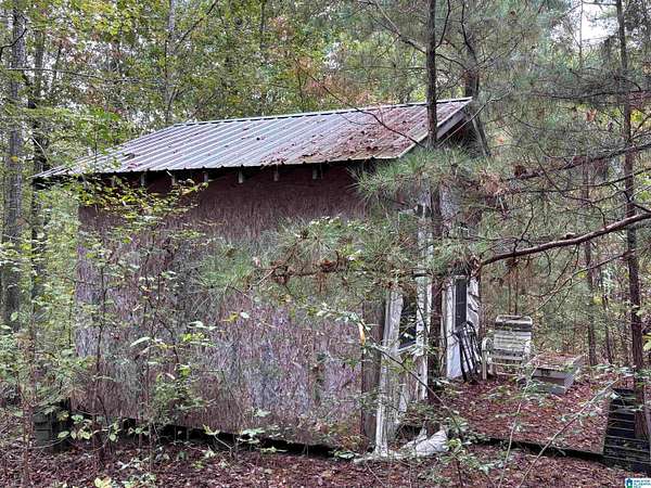 10 Acres of Recreational Land for Sale in Gallant, Alabama