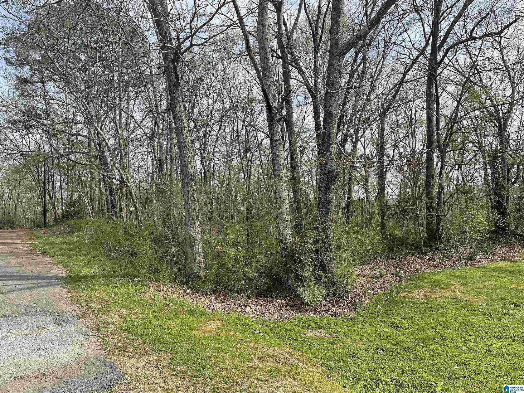 0.98 Acres of Residential Land for Sale in Anniston, Alabama