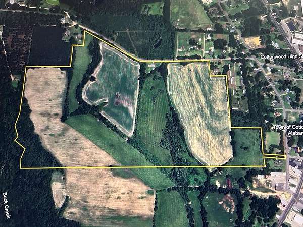 101 Acres of Agricultural Land for Sale in Cottonwood, Alabama