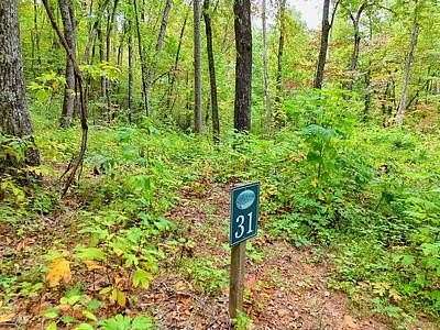 1 Acre of Residential Land for Sale in Hayesville, North Carolina