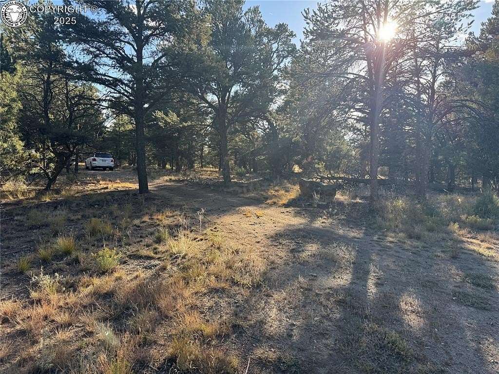 1.7 Acres of Residential Land for Sale in Cotopaxi, Colorado