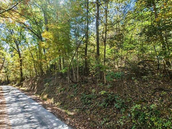 37 Acres of Land for Sale in Pembroke, Virginia