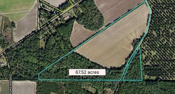 67.5 Acres of Land for Sale in Nashville, Georgia
