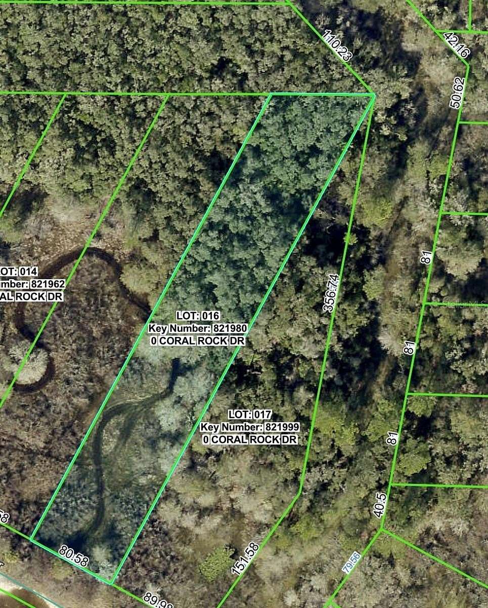 0.87 Acres of Residential Land for Sale in Webster, Florida