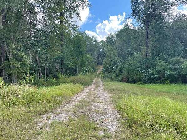 21.5 Acres of Recreational Land for Sale in Carriere, Mississippi