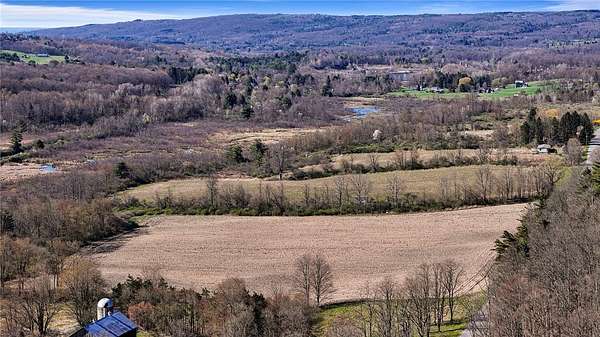 22.3 Acres of Agricultural Land for Sale in Brooktondale, New York