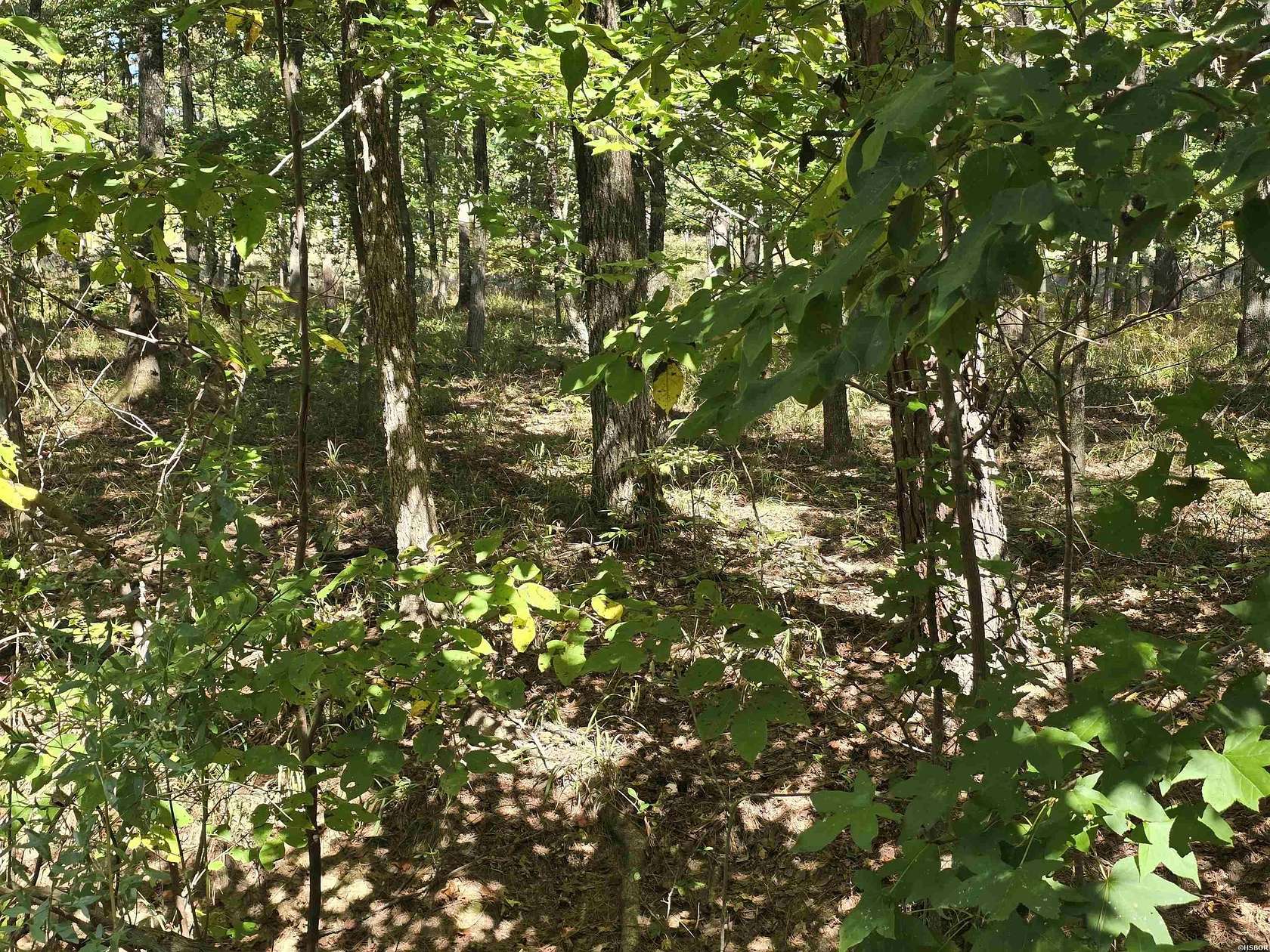 0.43 Acres of Residential Land for Sale in Hot Springs, Arkansas