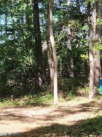 1 Acre of Residential Land for Sale in Mattaponi, Virginia