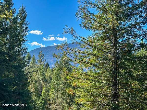 9.9 Acres of Land for Sale in Bonners Ferry, Idaho