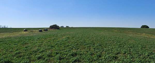 21.4 Acres of Land for Sale in New Virginia, Iowa