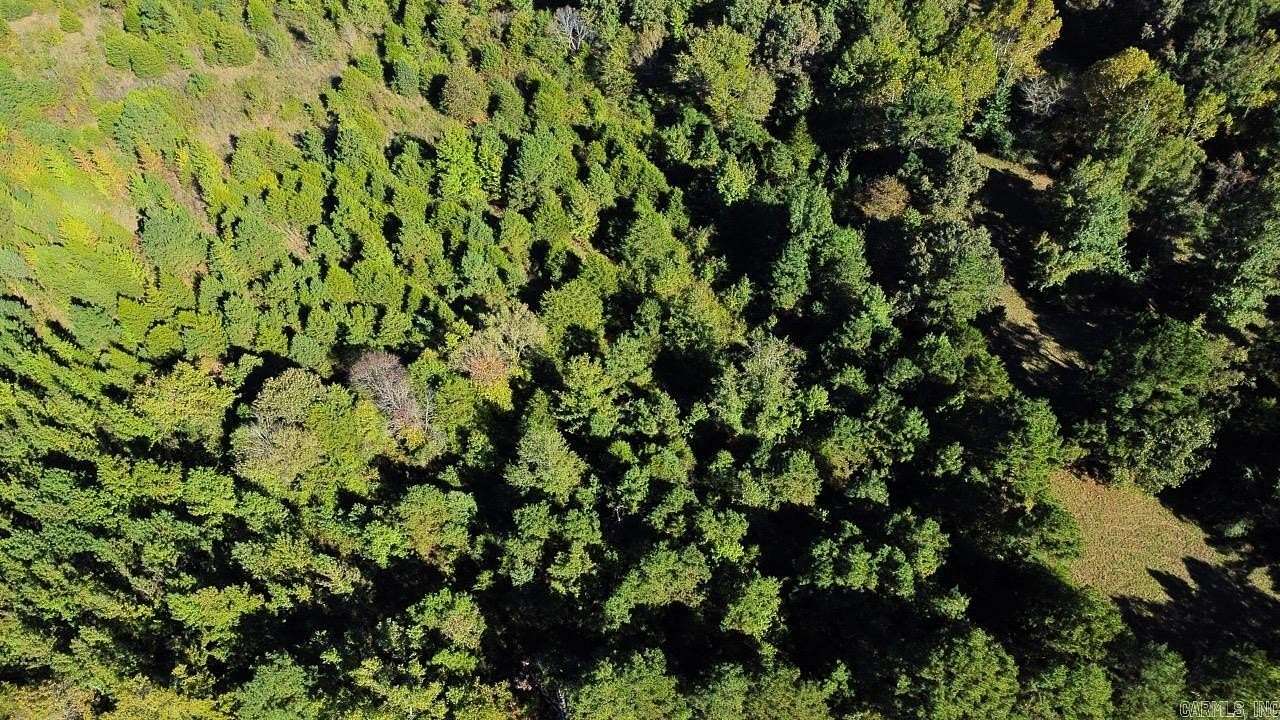 42.2 Acres of Recreational Land for Sale in Bee Branch, Arkansas