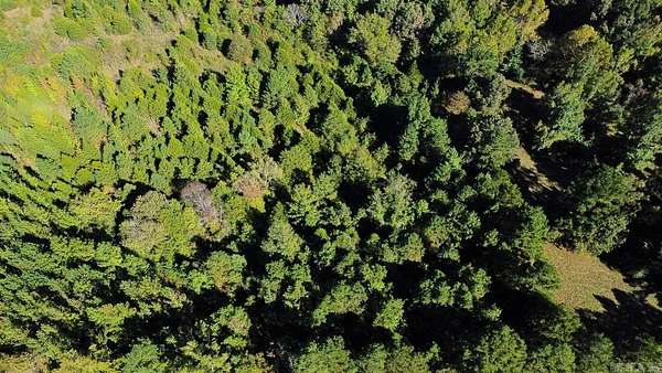 42.2 Acres of Recreational Land for Sale in Bee Branch, Arkansas