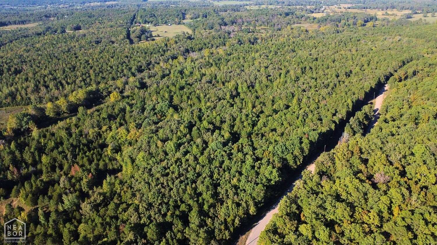 51.6 Acres of Recreational & Residential Land for Sale in Bee Branch, Arkansas