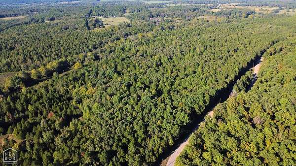 51.6 Acres of Recreational & Residential Land for Sale in Bee Branch, Arkansas