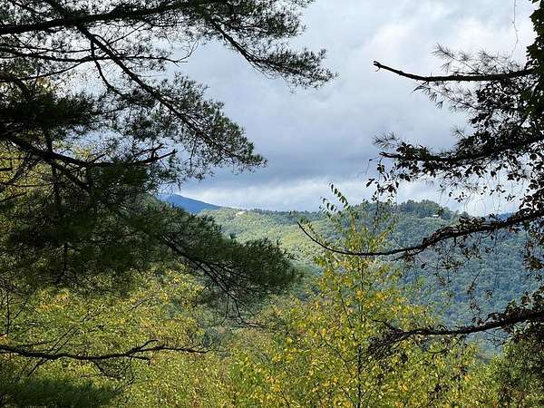 33.1 Acres of Recreational Land for Sale in Glenville, North Carolina