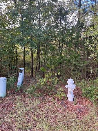 2.13 Acres of Residential Land for Sale in Stockbridge, Georgia