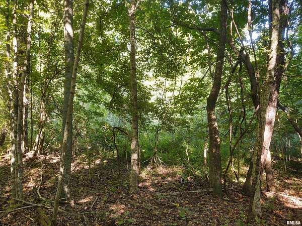 19.4 Acres of Recreational Land for Sale in Ozark, Illinois