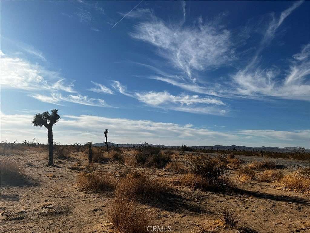 20 Acres of Land for Sale in Adelanto, California