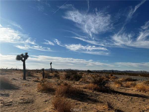 20 Acres of Land for Sale in Adelanto, California
