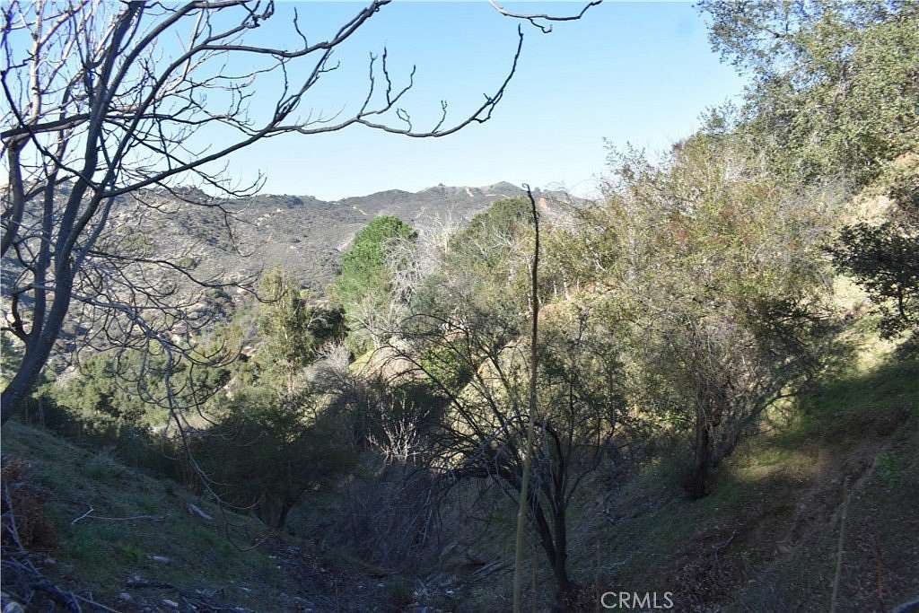 0.05 Acres of Residential Land for Sale in Cedar Glen, California