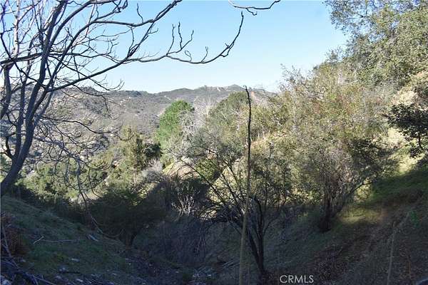 0.05 Acres of Residential Land for Sale in Cedar Glen, California
