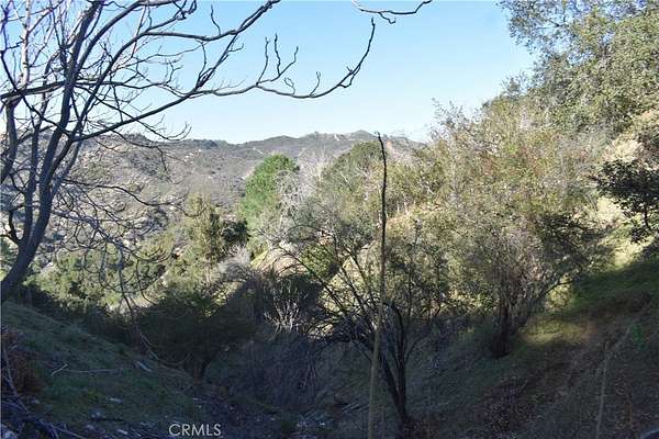 0.05 Acres of Residential Land for Sale in Cedar Glen, California