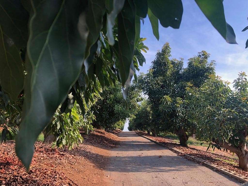 10.2 Acres of Land for Sale in Fallbrook, California