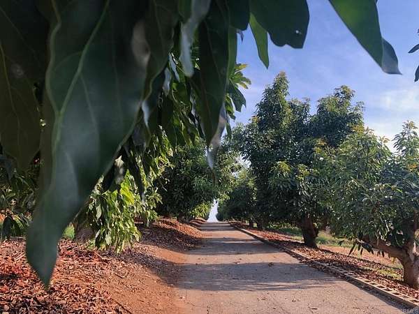 10.2 Acres of Land for Sale in Fallbrook, California