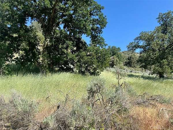 2.19 Acres of Land for Sale in Bear Valley Springs, California