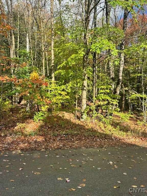 0.64 Acres of Residential Land for Sale in Remsen, New York