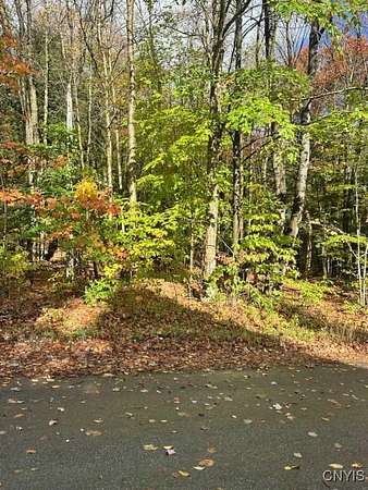 0.64 Acres of Residential Land for Sale in Remsen, New York
