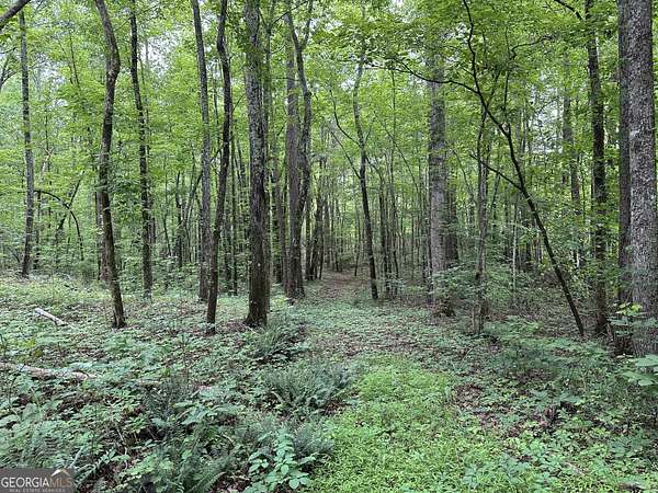 22.4 Acres of Recreational Land & Farm for Sale in Cedartown, Georgia