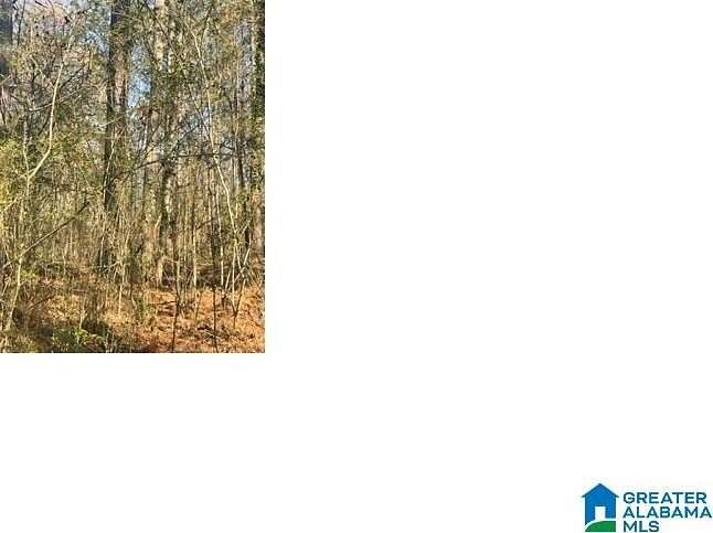 0.36 Acres of Land for Sale in Alpine, Alabama
