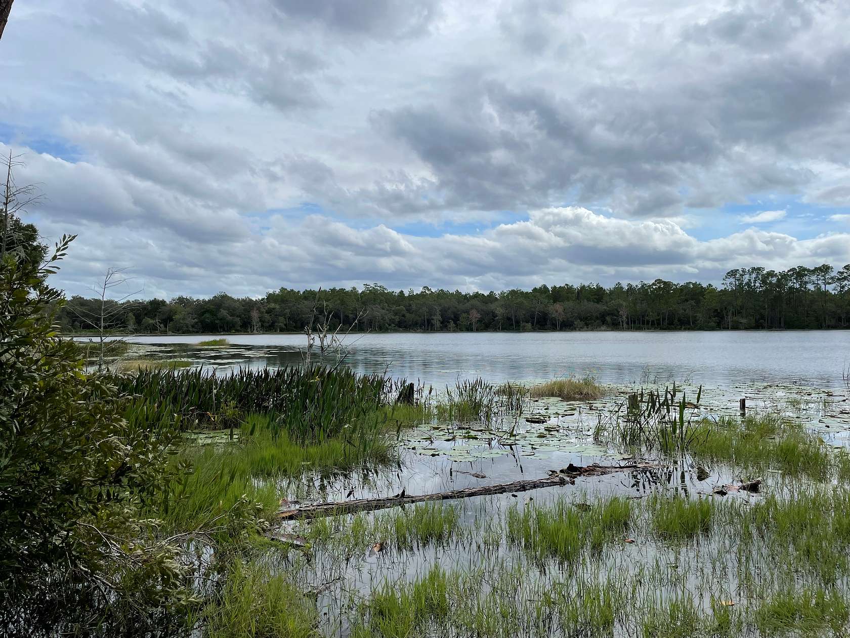 39.3 Acres of Recreational Land for Sale in De Leon Springs, Florida