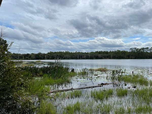 39.3 Acres of Recreational Land for Sale in De Leon Springs, Florida