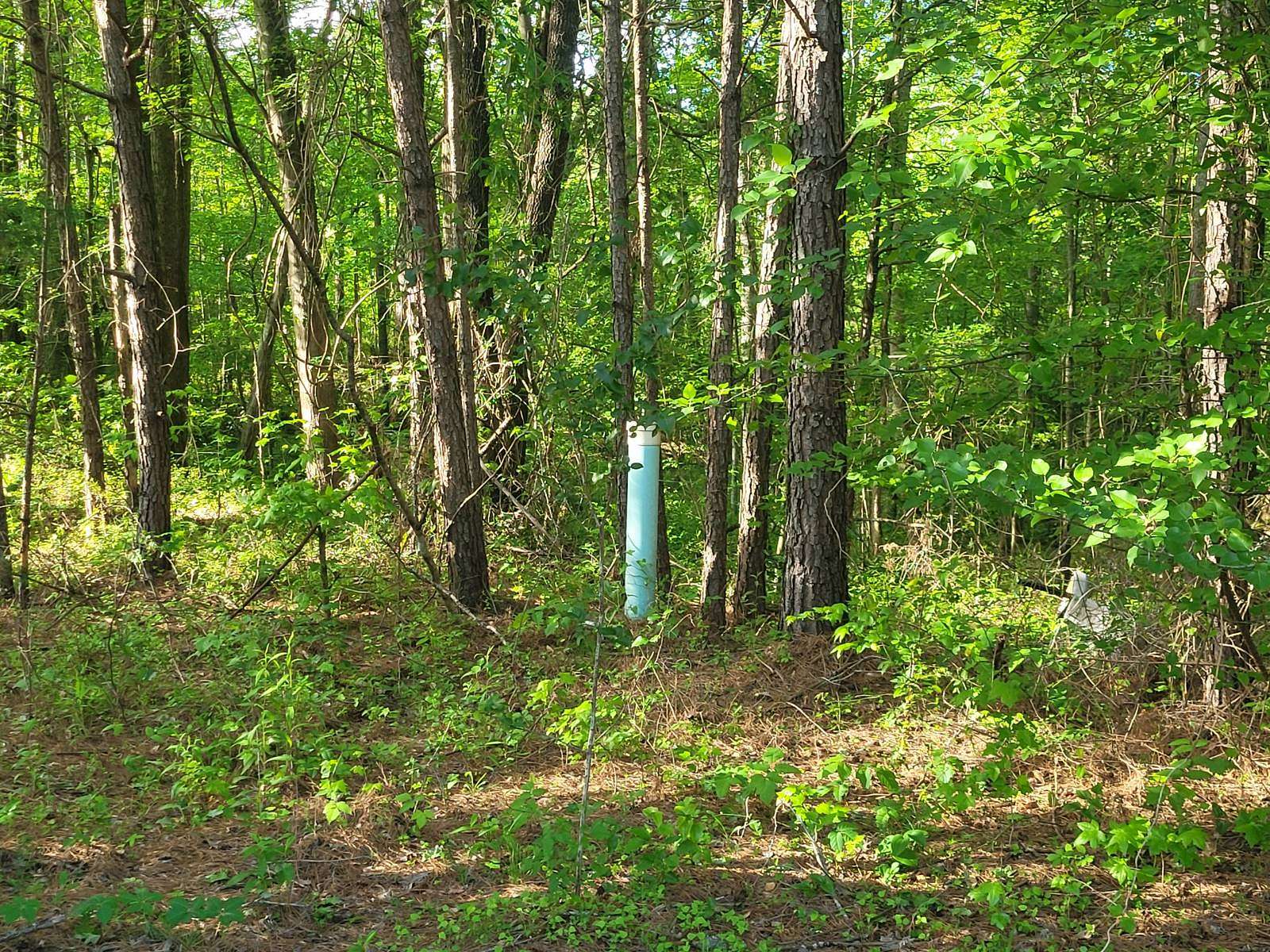 0.67 Acres of Residential Land for Sale in Lithonia, Georgia