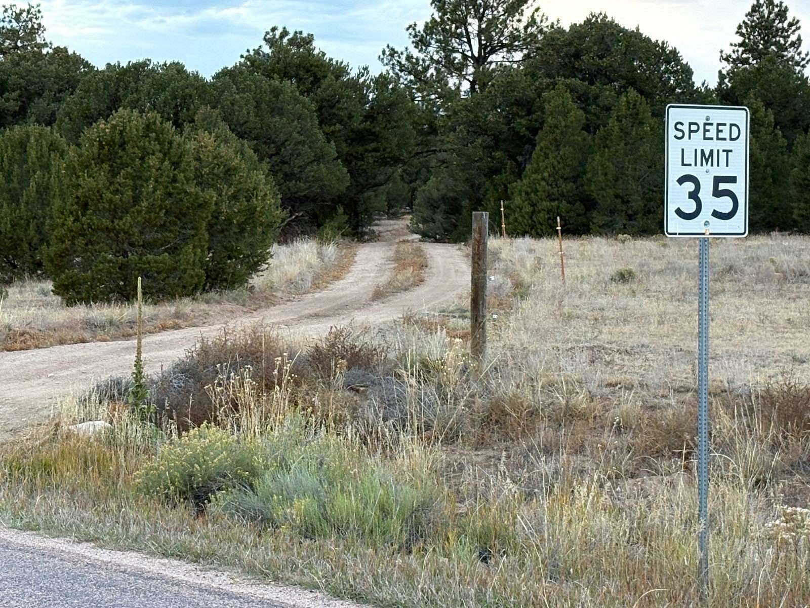 37 Acres of Recreational Land for Sale in Cotopaxi, Colorado