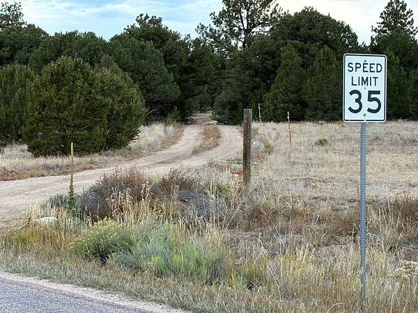 37 Acres of Recreational Land for Sale in Cotopaxi, Colorado