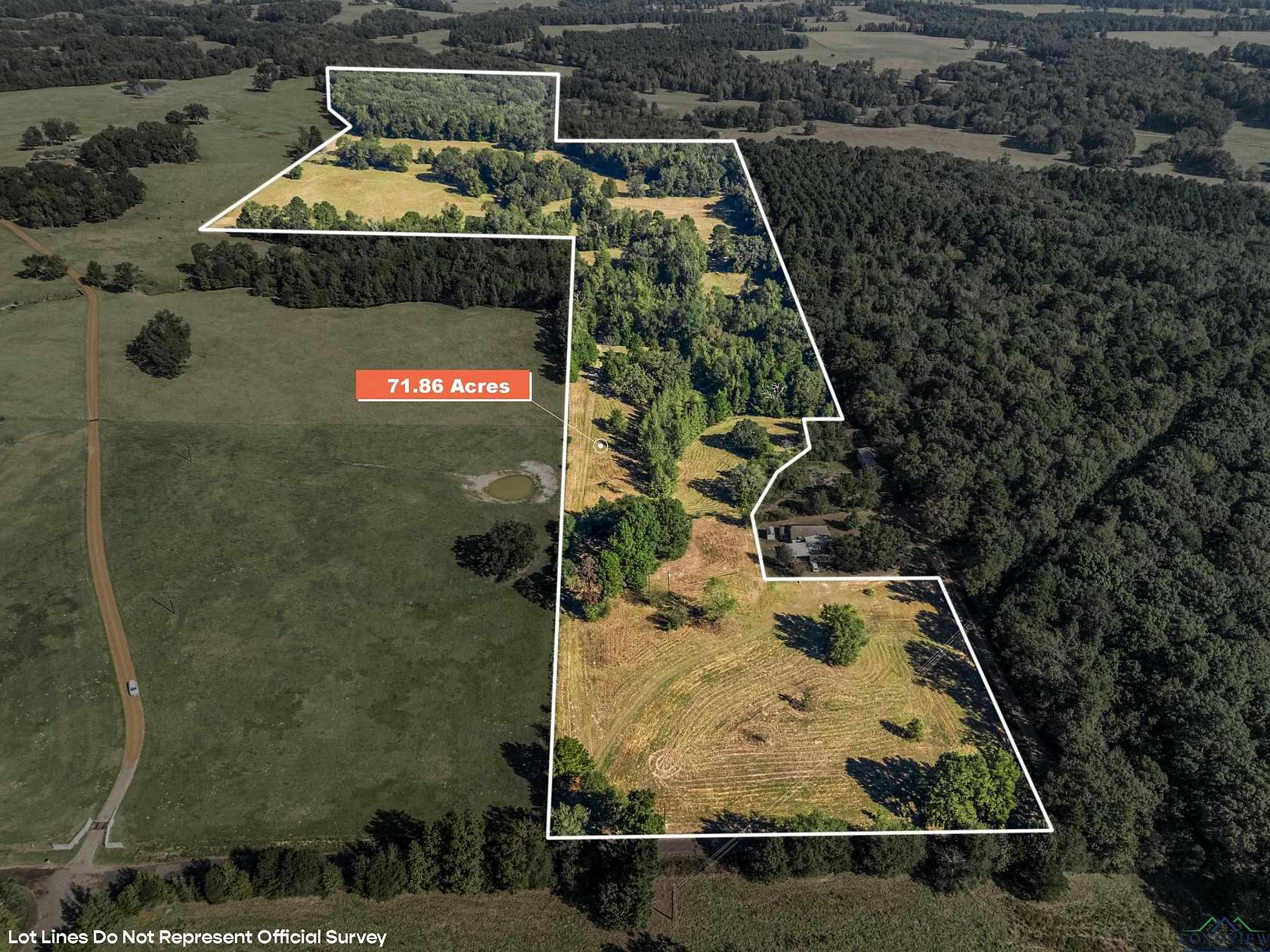 71.9 Acres of Recreational Land for Sale in Gilmer, Texas