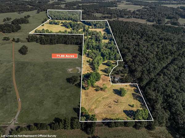 71.9 Acres of Recreational Land for Sale in Gilmer, Texas
