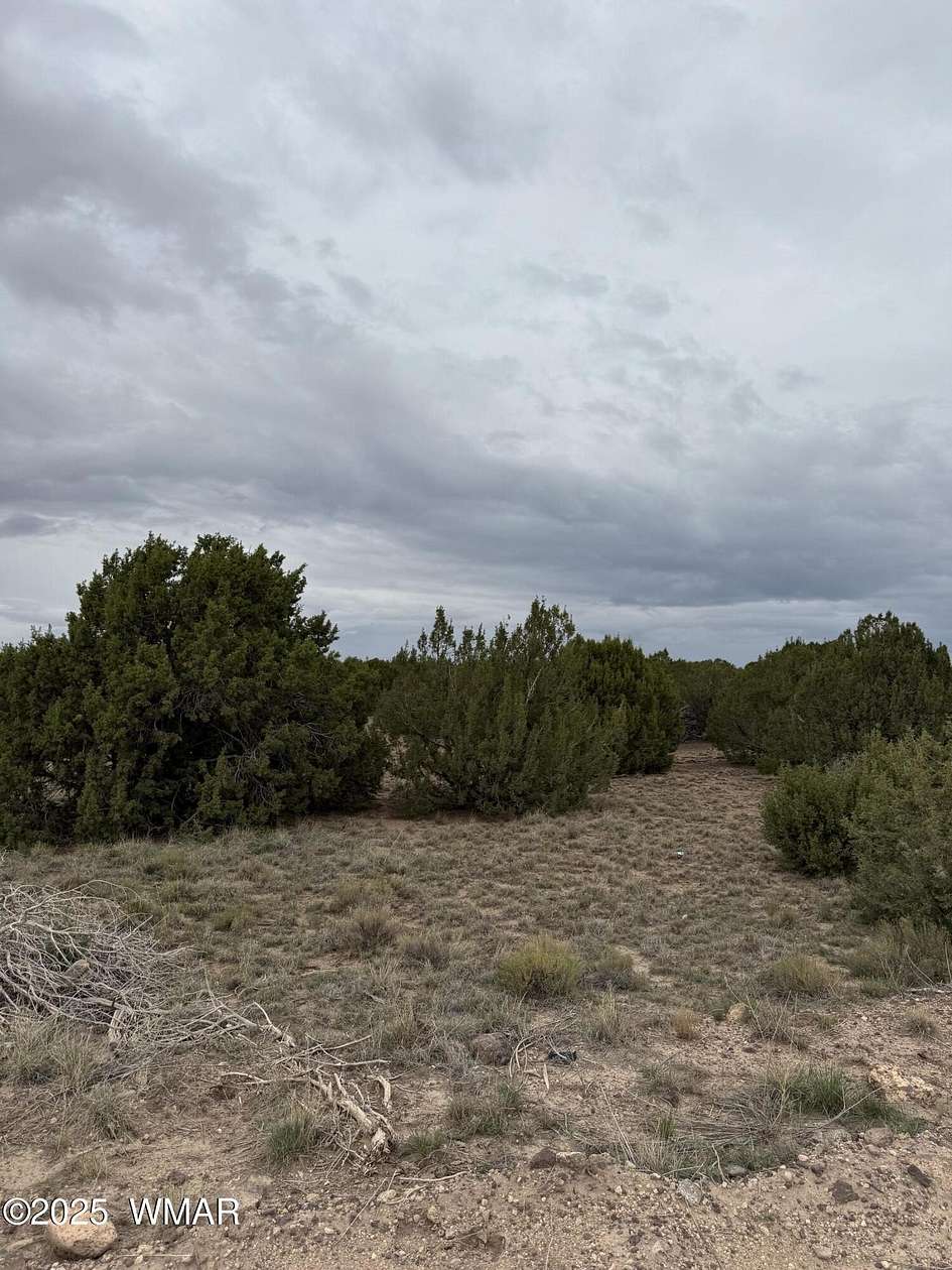 1.38 Acres of Residential Land for Sale in Concho, Arizona