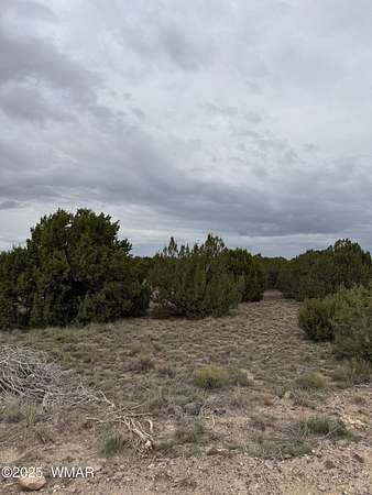 1.38 Acres of Residential Land for Sale in Concho, Arizona