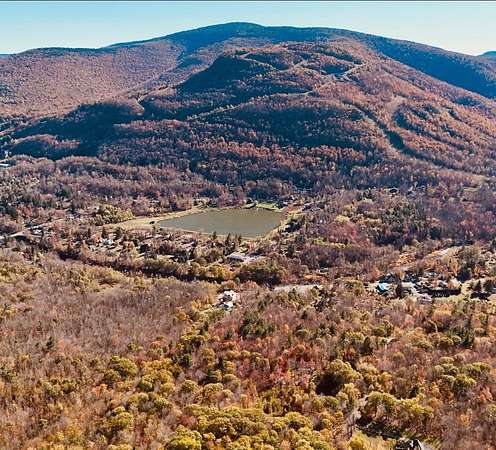 18 Acres of Land for Sale in Hunter, New York